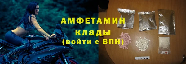 СК Ельня