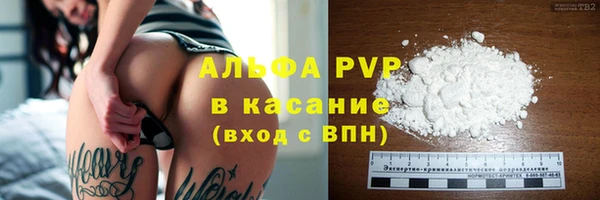 СК Ельня