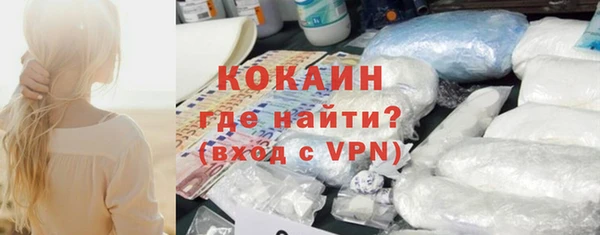 СК Ельня