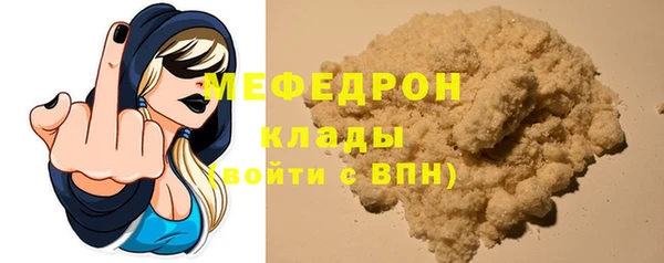СК Ельня