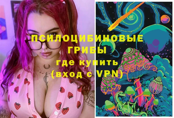 СК Ельня