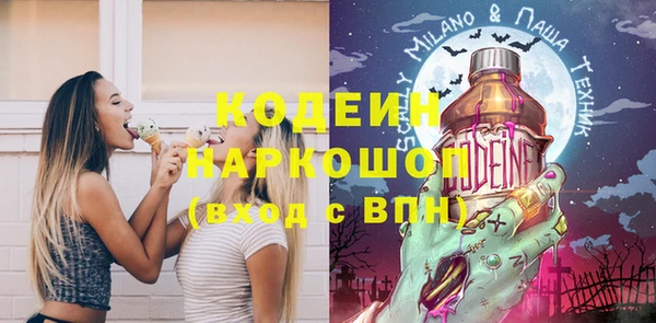 СК Ельня