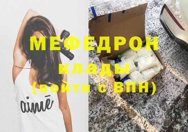 СК Ельня
