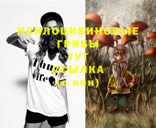СК Ельня