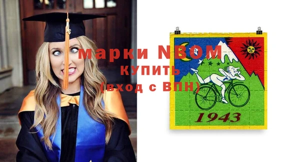 хмурый Елабуга